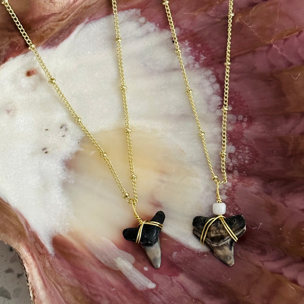 Gold beaded Shark Tooth Necklace