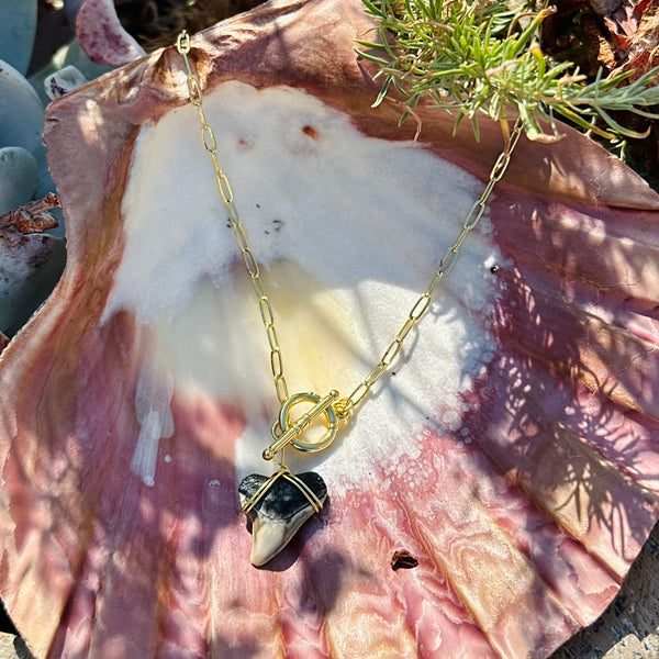 Shark Tooth Link Necklace