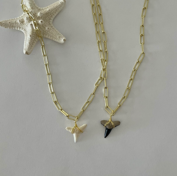 Black Lemon Shark Tooth Gold Link Chain