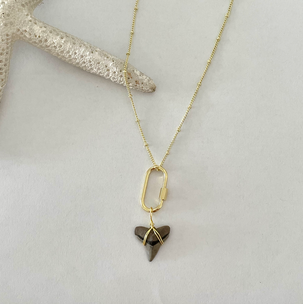 Link Bull Gold Beaded Shark Tooth Necklace